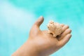 Little turtle clay on clay hand sculpture over blurred blue water background Royalty Free Stock Photo