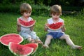 Little Twin Brothers Eating Watermelon on Green Grass in Summer Park Royalty Free Stock Photo