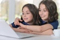 Little twin girls using laptop Royalty Free Stock Photo