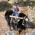 Little unidentified boy hard working in agriculture Royalty Free Stock Photo