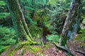 Little Union River Gorge Michigan