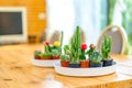 Little various Cactus in the white circle plate that lay on wooden table for decorate meeting room in the garden