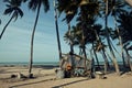 Little vietnamese house on seacoast among palms