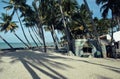 Little vietnamese house on seacoast among palms