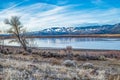 Little Washoe Lake near Reno, Nevada with a flock of pelicans during late winter or early spring.