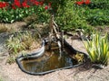 Little water pond in botanical garden