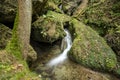 Little waterfall flows through a fairy tale forest