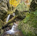 Little waterfall flows through a fairy tale forest Royalty Free Stock Photo
