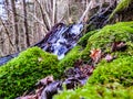 Little waterfall in forest near RÃÂ¥bÃÂ¤cks Hamn och Stenhuggeri