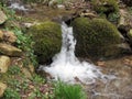 Little waterfall by mossy rocks in the forest . Tuscany, Italy Royalty Free Stock Photo