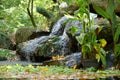 Little waterfall and pond in garden, purity, calm and harmony