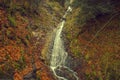 Little waterfall river in an autumn forest with leaves in the bottom Royalty Free Stock Photo