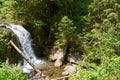 Little waterfall on a river in Retezat mountain in Campu lui Neag Romania Royalty Free Stock Photo