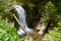 Little waterfall on a river in Retezat mountain in Campu lui Neag Romania Royalty Free Stock Photo