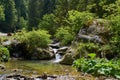 Little waterfall on a river in Retezat mountain in Campu lui Neag Romania Royalty Free Stock Photo