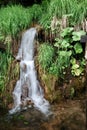 Little Waterfall Spilling Into Small Stream