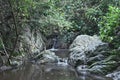 Little Waterfall Trees Rocks Plants Water Nature Royalty Free Stock Photo