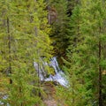 Little waterfall in the woods in the Allgaeu Alps during autumn Royalty Free Stock Photo