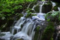 Little waterfalls at Plitvice lakes