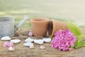 little watering can and flower pots in garden decorate with heart shape and pink flowers Royalty Free Stock Photo