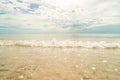 Little wave on the sunny beach Royalty Free Stock Photo