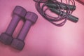 Little Purple Weights and a Skipping Rope Royalty Free Stock Photo