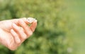 Little white butterfly on girl finger. Love to nature, freedom, lightness and easygoing concept.