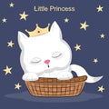 Little white cat in cradle. Greeting card.