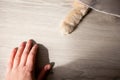 Little white cat paw and human hand on the floor.