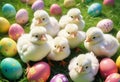 Little white Easter chicks nestled among colorful painted Easter eggs Royalty Free Stock Photo