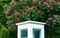 Little white guard booth in green spring park with pink sweet chestnuts. The room for work.