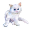 Little white kitten. Watercolor. Illustration kitten for fashion print, poster, textiles, fashion design. Close-up