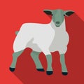 Little white mountain sheep.Scottish fold sheep.Scotland single icon in flat style vector symbol stock illustration. Royalty Free Stock Photo