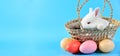Little white rabbit with red eye sitting in basket weave on blue background with colorful egg, concept of Easter festival Royalty Free Stock Photo