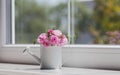 Little white watering can with spring flowers bouquet near the w