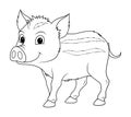 Little Wild Boar Cartoon Animal Illustration BW