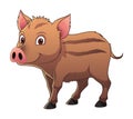 Little Wild Boar Cartoon Animal Illustration BW