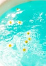 Little wild daisies with yellow center floating on the blue bubble paradise water. Shadow from flowers on the bottom. Free copy Royalty Free Stock Photo