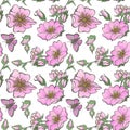 Little wild dog rose seamless background flowers with buds pattern boho style