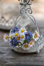 Little wild flower bouquet in a little basket Royalty Free Stock Photo