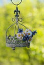 Little wild flower bouquet in a little basket Royalty Free Stock Photo