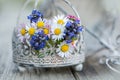 Little wild flower bouquet in a little basket Royalty Free Stock Photo