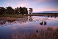 Little wild pond at sunset