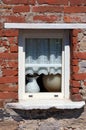 Little Window with Lace Curtain - Liguria Italy