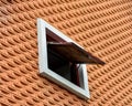 Little window at pattern orange brick cement wall. Royalty Free Stock Photo