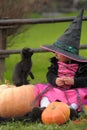 Little witch Royalty Free Stock Photo