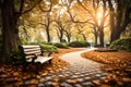 The little wooden bench is empty and situated on a white pathway that is covered in leaves Royalty Free Stock Photo
