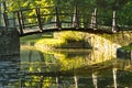 Little wooden bridge on first sunrays at morning Royalty Free Stock Photo