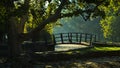 Little wooden bridge on first sunrays at morning in Topcider park, Belgrade Royalty Free Stock Photo