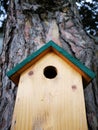 Little wooden house for birds in tree Royalty Free Stock Photo